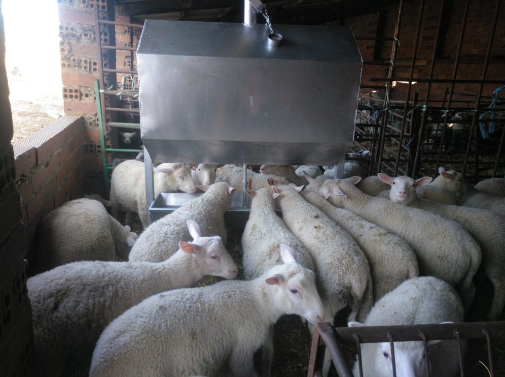 Bebedero de pilón y de vacío